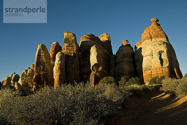 Nadeln rote Felsformationen  Needles District  Canyonlands National Park  Utah.