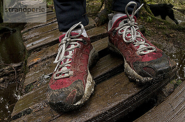 Trailrunning. Seymour Mountain  North Vancouver  British Columbia  Kanada