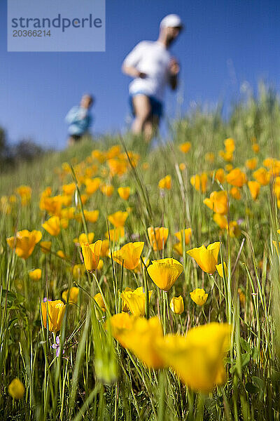 Trailrunner laufen auf dem Ray Miller Trail an wilden Blumen vorbei.