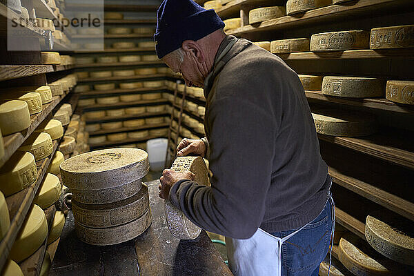 Seitenansicht einer Person  die hochwertigen Käse herstellt  Alpe Devero  Verbania  Italien