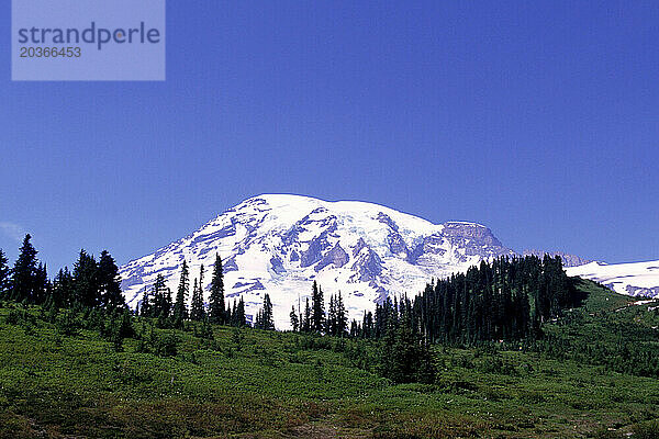 Mount-Rainier-Nationalpark