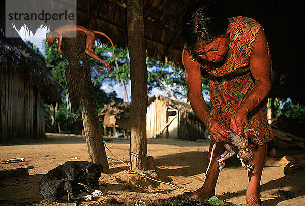 Tirio-Indianer putzen Affen  Surinam