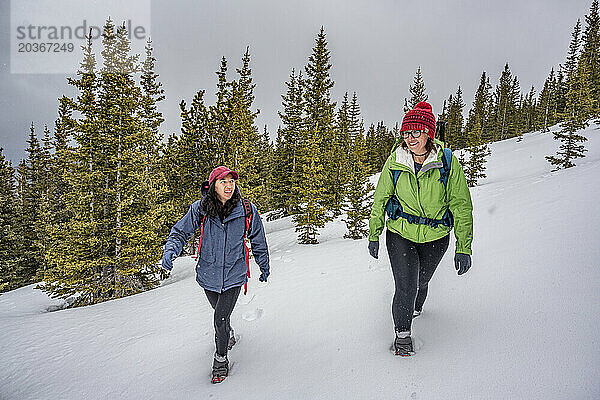 Freunde wandern im Schnee