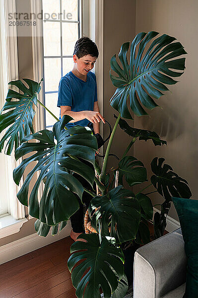 Fröhlicher Junge gießt große Monstera-Pflanze im heimischen Wohnzimmer.