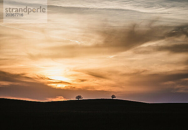 Silhouette zweier Bäume bei Sonnenuntergang in den Great Plains  Kansas