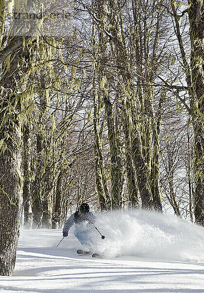 Ein Mann  der auf einer verschneiten Landschaft im Wald von Cerro Catedral Ski fährt