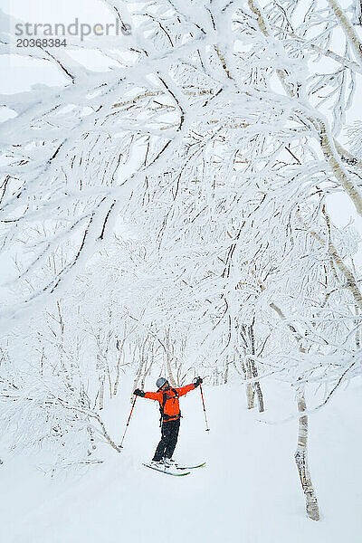 Eine Skifahrerin steht in einer wunderschönen Berglandschaft mit schneebedeckten Bäumen in der Nähe des Skigebiets Rusutsu auf Hokaido  Japan.
