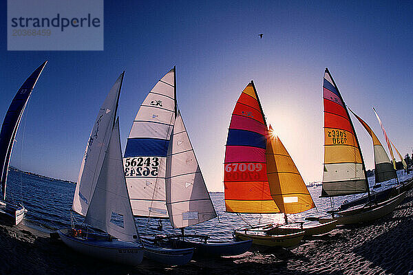 Segelboot-Hochseerennen