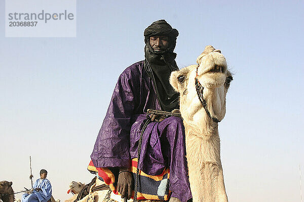 A Toureg man sits confidently atop his camel  Gao  Mali  West Africa