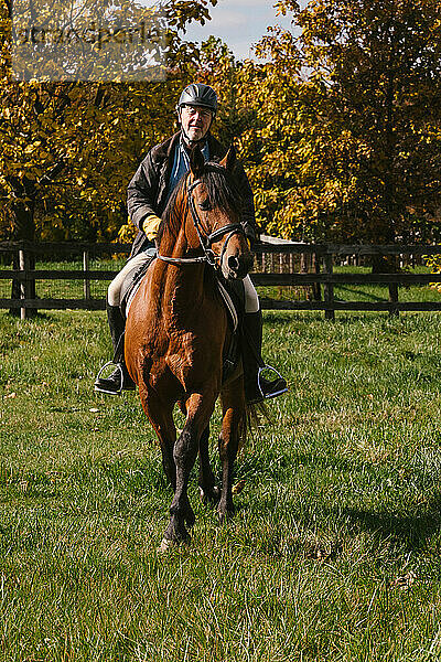 Älterer Mann reitet auf einem kastanienbraunen Hengstpferd in einem Feld mit Herbstblättern