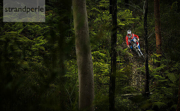 Mountainbiker fahren durch Farne an den Northern Beaches in Sydney  Australien