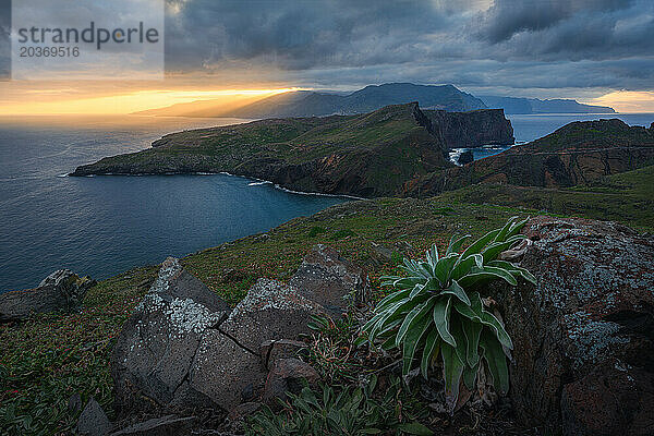 Stürmischer Sonnenuntergang in Ponta de Sao Lourenco  Madeira - endemische Pflanze