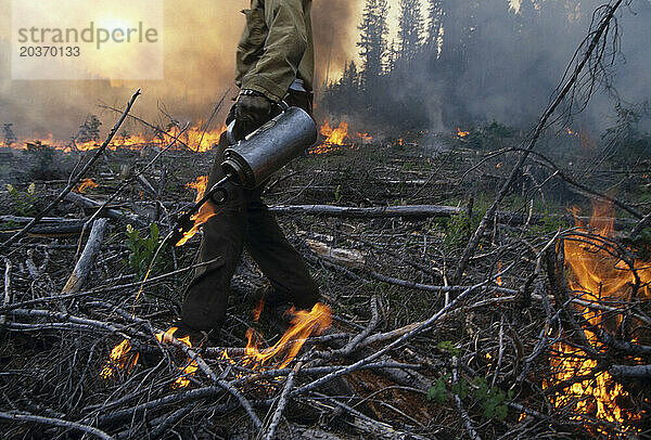 Ein Mann hilft bei der Bekämpfung eines Waldbrandes  Washington  USA.