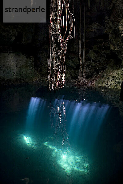 Lichter beleuchten eine Cenote in Cuzama  Halbinsel Yucatan  Mexiko