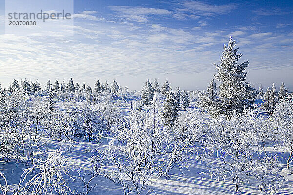 Eine verschneite Landschaft in der Nähe von Saariselkä  Nordfinnland.