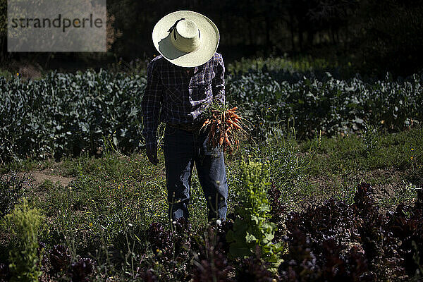 Tomaicito  der sich für den Schutz und die Rettung der ursprünglichen Maissorten seines Landes einsetzt  sammelt Gemüse in seinem Garten in der „Tepetlixpa Seed Bank“.