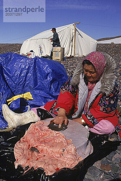 Frau zerschneidet einen Seehund  Arctic Bay  Nunavut  Kanada