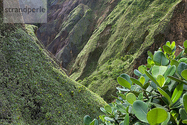 Tal der Verwüstung  Nationalpark Morne Trois Pitons  Dominica