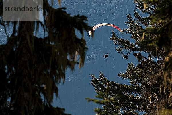 Gleitschirmfliegen über bewaldete Berge  Pemberton  British Columbia  Kanada