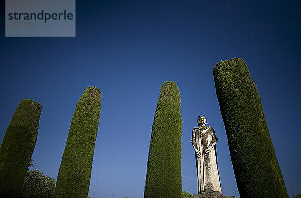 Eine Königsstatue steht im Garten des Alcazar de los Reyes Cristianos  dem Schloss der christlichen Könige  in Cordoba  Andalusien  Spanien.