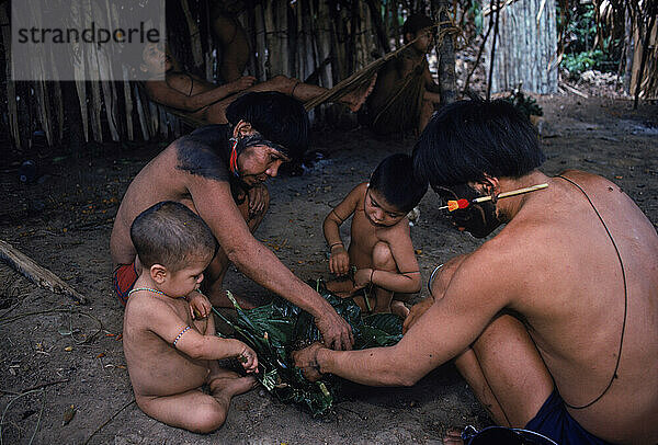 Hasubueteri  Amazonas  Venezuela