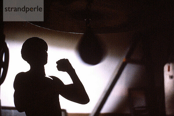 Boxer-Silhouette.