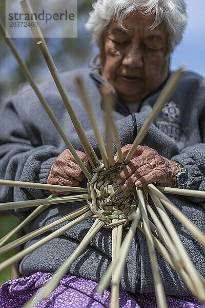 Ältere Frau von Native American Weavers beim Korbflechten  Tolay Lake  Kalifornien  USA