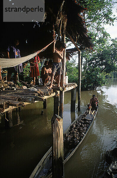 Warao-Indianer in ihrem Stelzendorf im Orinoco-Delta  Venezuela  Südamerika