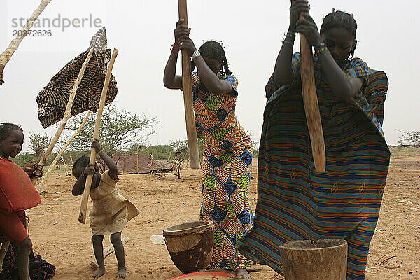 Three young African Toureg girls pounding Millet & Sorghum in a nomadic encampment in the Sahel  Gao  Mali  West Africa