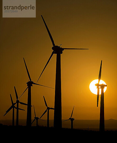 Windkraftanlagen  Silhouetten der aufgehenden Sonne in Tehachapi  Kalifornien.