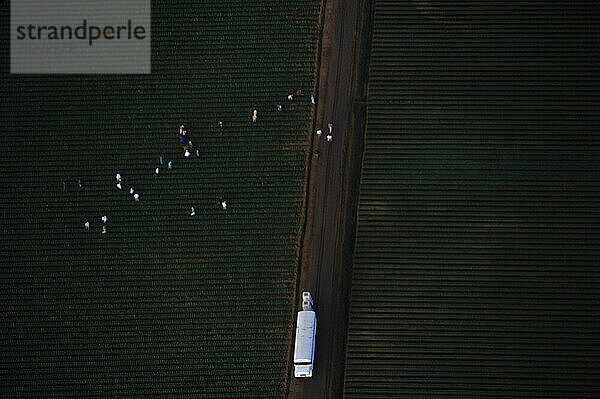 Luftaufnahmen - Landwirtschaft.