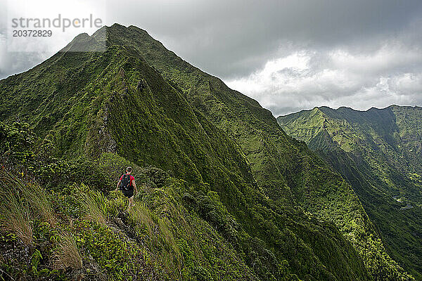 Extremwanderer verfolgen Norton beim Wandern im Kahana-Tal in Oahu