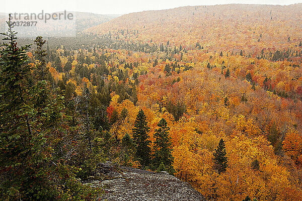 Herbstliche Farbe entsteht durch den Regen auf Moose Mountain  Lutsen  Minnesota.