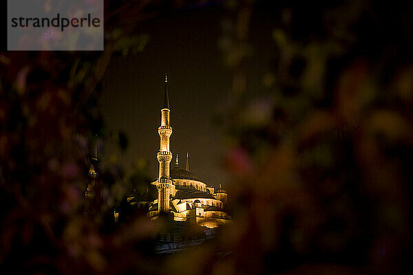 Die Sultan-Ahmed-Moschee oder Blaue Moschee erhebt sich in der Nacht in Istanbul  Türkei.