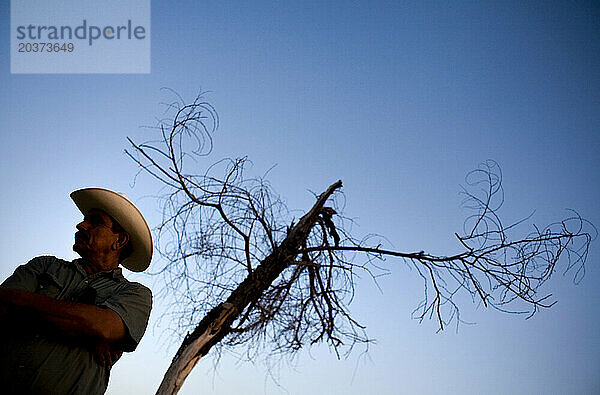 Cowboy steht neben totem Baum bei Beerdigung in Ejido Hermosillo  Mexiko.