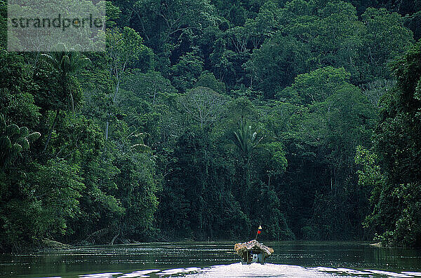 Motorisiertes Kanu namens Bongo  das den Orinoco-Fluss im Amazonas-Regenwald im Süden Venezuelas hinauffährt.