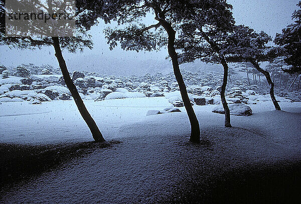 Japanische Gärten im Adachi Museum of Art