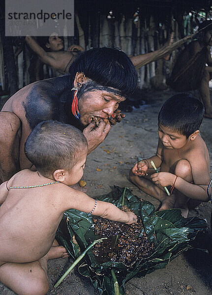 Hasubueteri  Amazonas  Venezuela