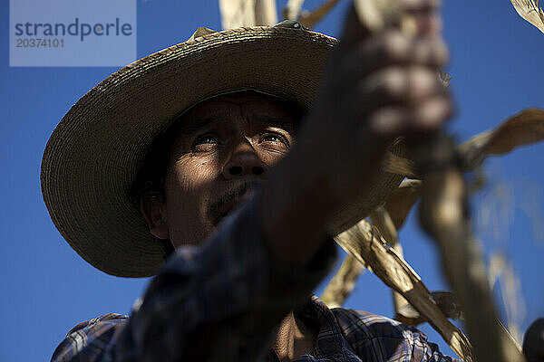 Tomaicito  der sich für den Schutz und die Rettung der ursprünglichen mexikanischen Maissorten einsetzt  arbeitet auf seiner Farm in der „Tepetlixpa Seed Bank“.