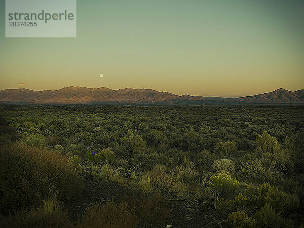 Eine Landschaft in Nevada.