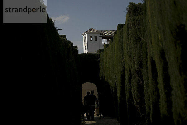 Generalife-Gärten in der Alhambra in Granada  Andalusien  Spanien.