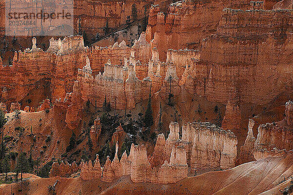 Hoodoos im Bryce-Canyon-Nationalpark  Utah.