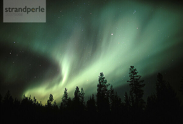 Nordlichter in der Nähe von Gallivare  Nordschweden.