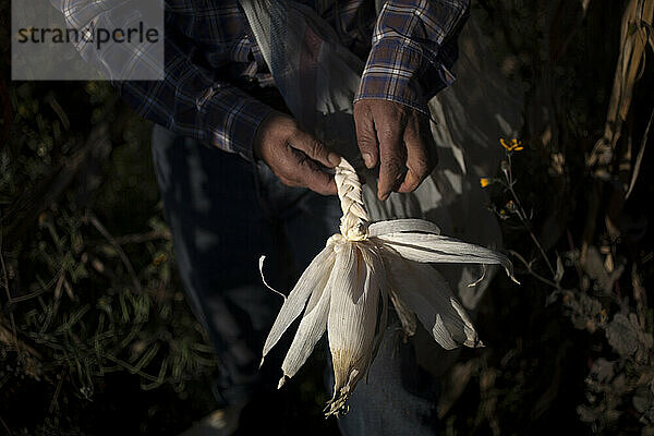 Tomaicito  der sich für den Schutz und die Rettung der ursprünglichen mexikanischen Maissorten einsetzt  arbeitet auf seiner Farm in der „Tepetlixpa Seed Bank“.