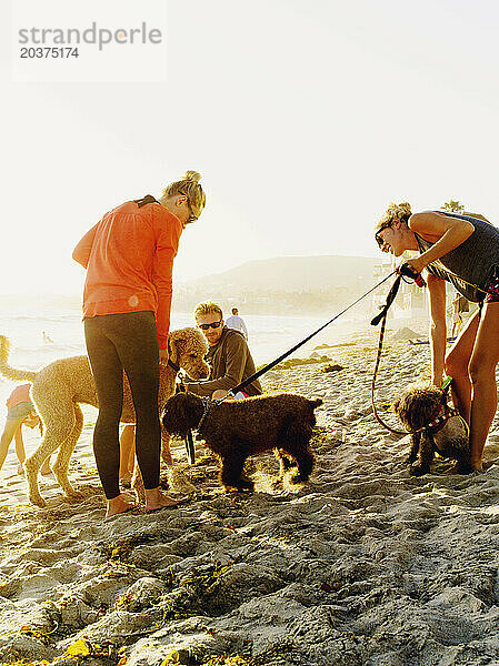 Strandbesucher mit ihren liebevollen Haustieren treffen sich am Laguna Beach in Kalifornien.