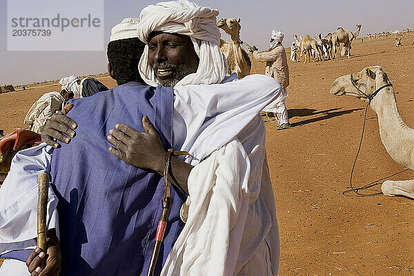 Kamelhändler und Nomaden begrüßen einander auf dem Kamelmarkt in El Obied  Nordkordofan  Sudan.