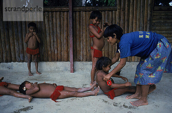 Yanomami  Amazonas  Venezuela