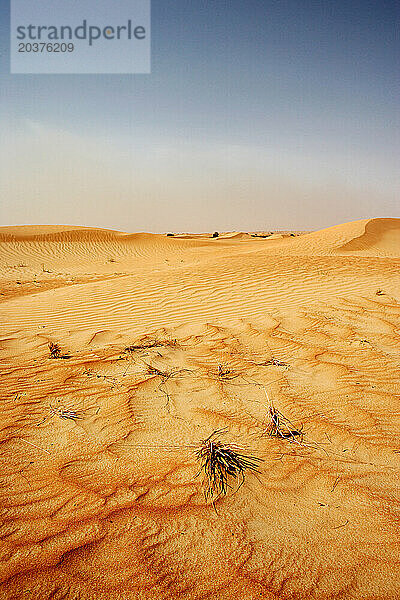 Wüste im Nahen Osten
