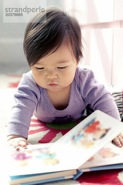 Ein kleines Mädchen schaut sich ihr Buch in New York  New York  an.