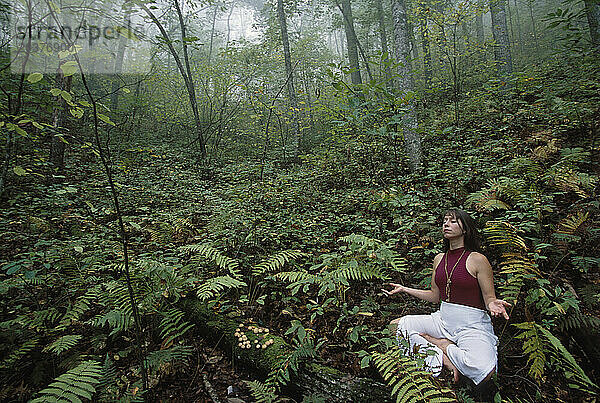 Eine Frau praktiziert Yoga im Wald  North Carolina  USA.